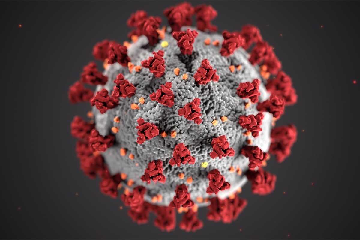PKHL-Cronavirus-Update