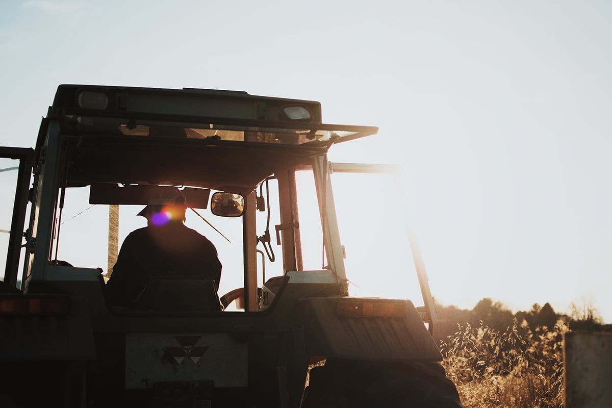 farming-poe-kiely-hogan-lanigan